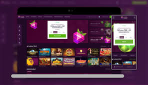 Avis sur Malina Avis sur Malina