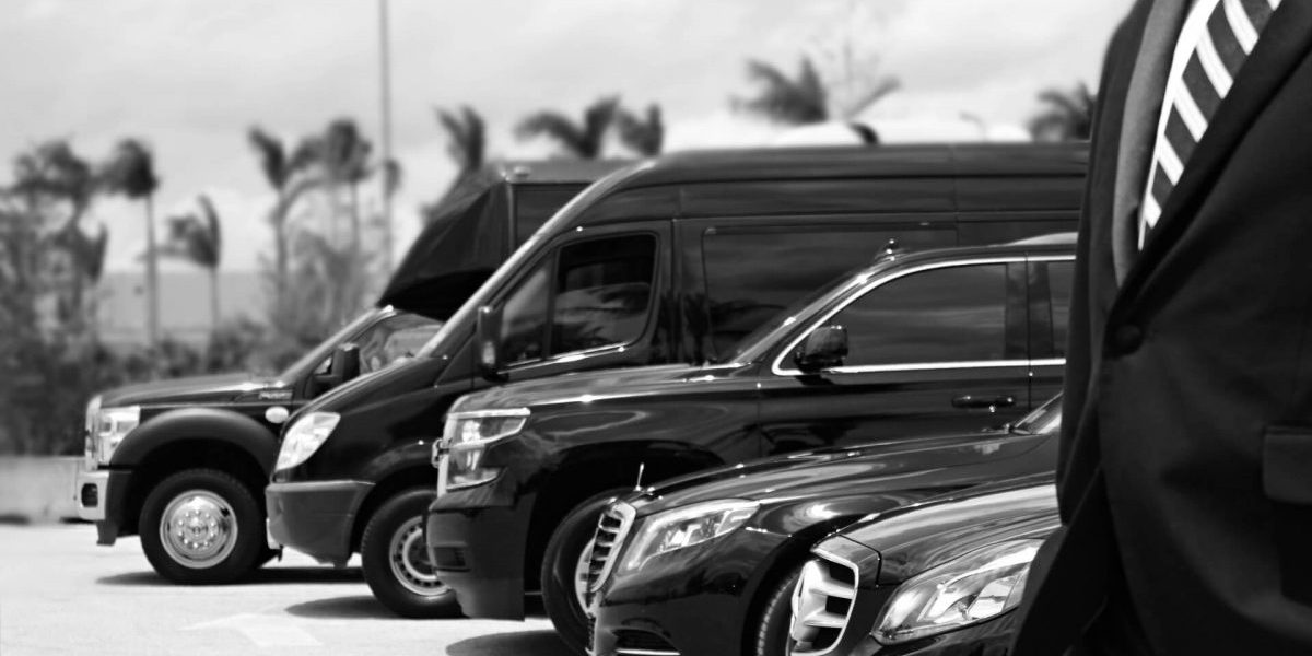 Comprehensive Limousine Service Directory Your Go-To Resource for Luxury Transportation Comprehensive Limousine Service Directory Your Go-To Resource for Luxury Transportation