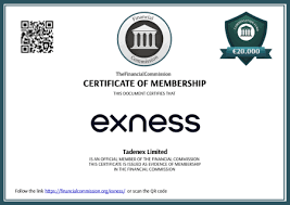 Understanding Exness Withdrawal via Internet Banking 23